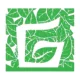 Client 15